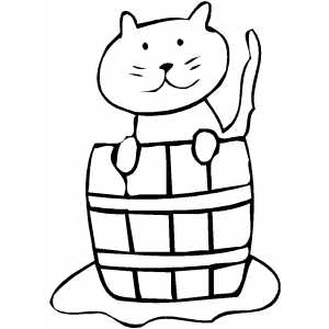 Cats 24